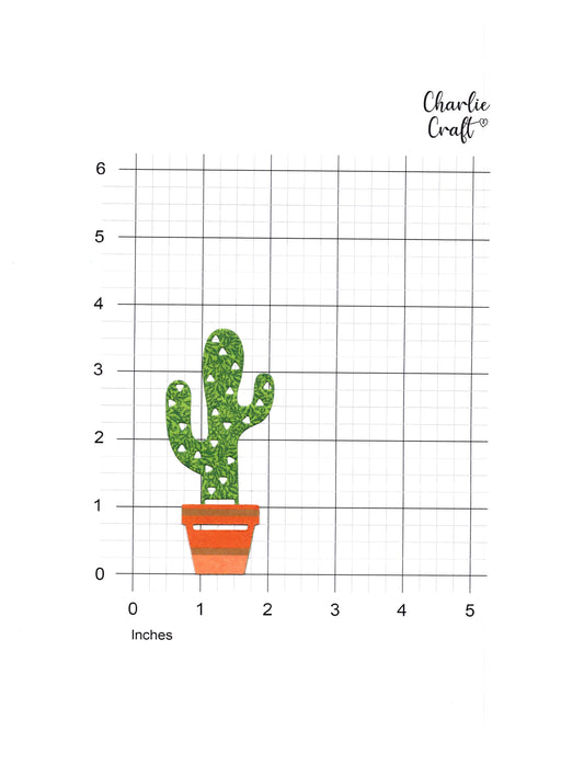 Potted Cactus